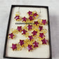 Dainty Ruby Star Pendant Necklace | Handmade Celestial Jewelry
